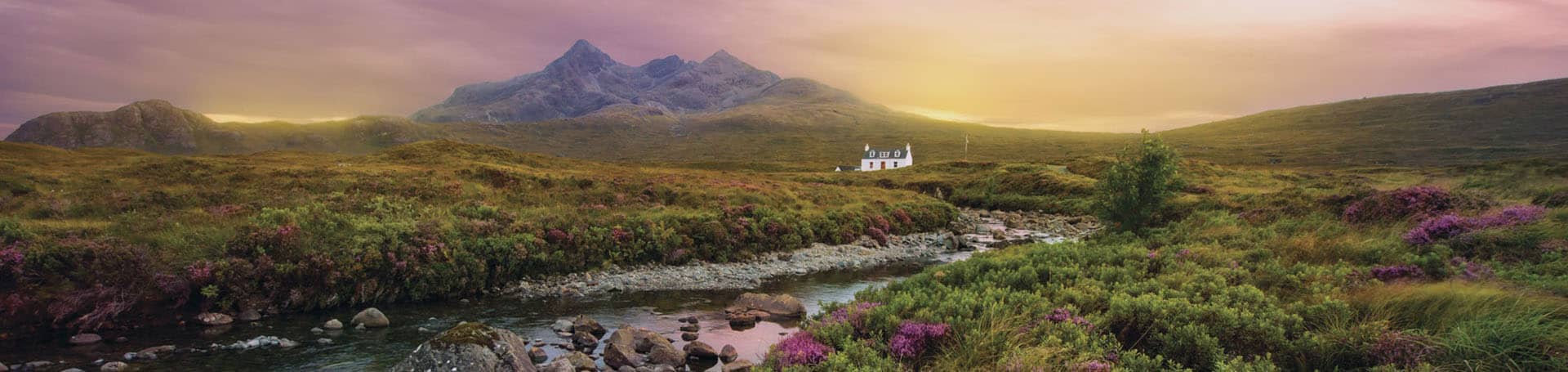 A picturesque image of mountains and purple heather while travelling through Glencoe