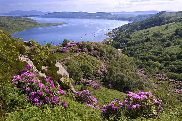 The view point from Tighnabruiach it will take your breath away.