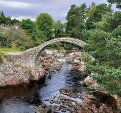 Historic Old Packhorse Bridge made of stone, arching gracefully over a gentle stream surrounded by lush greenery.