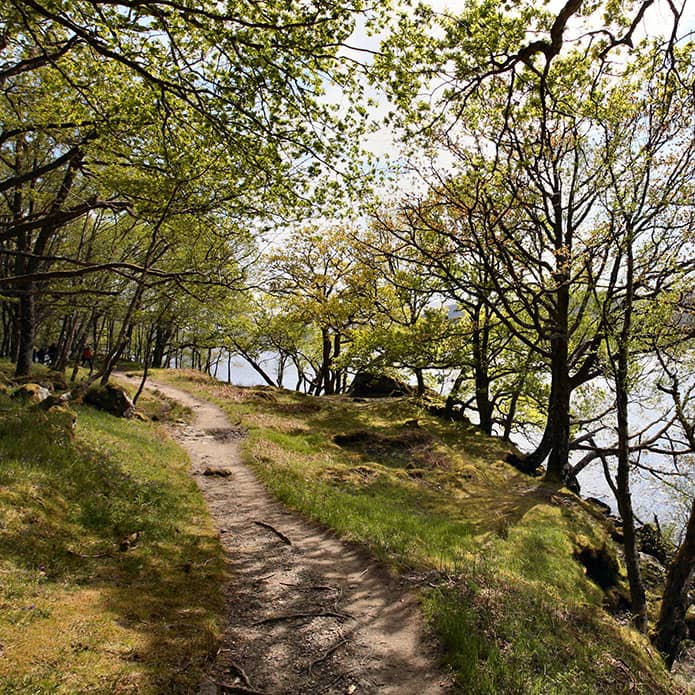 Explore the countryside around the Inversnaid Hotel