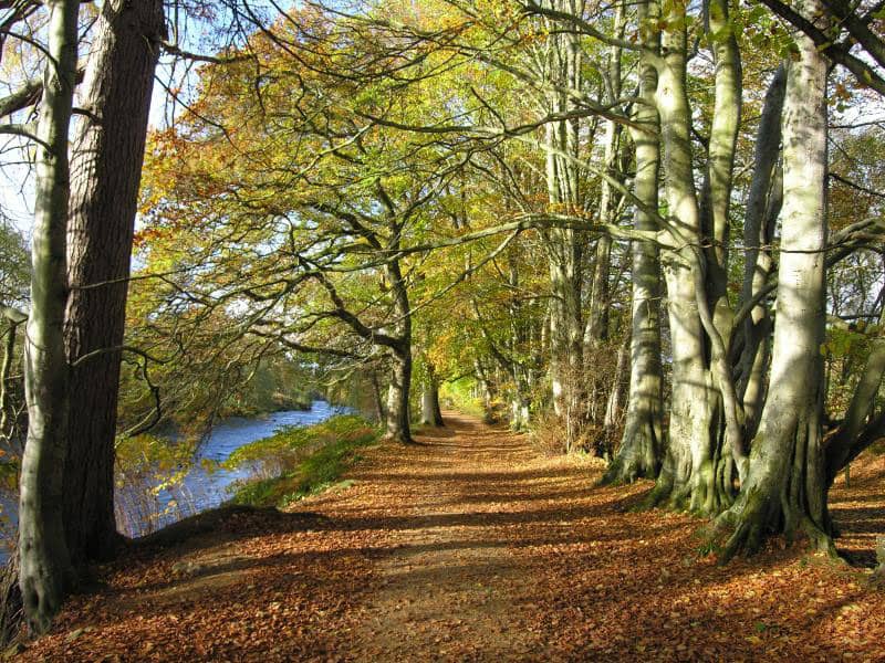 The sun setting over the serene waters of Loch Tummel, casting a golden glow on the landscape